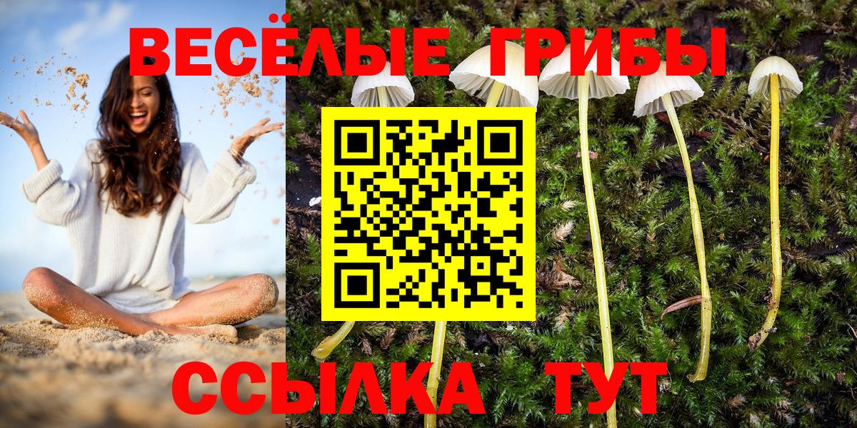 Галлюциногенные грибы MAGIC MUSHROOMS Малгобек