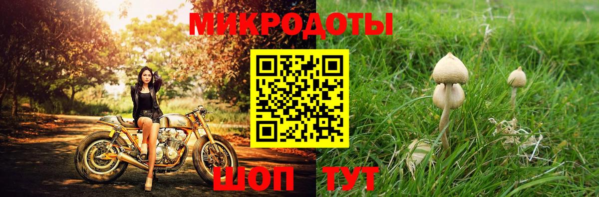 Малгобек  Галлюциногенные грибы прущие грибы  Вход с VPN 